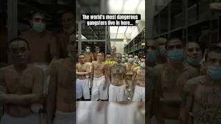 Life inside the MEGA Prison CECOT 😳