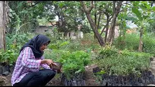 video Kegiatan KKN TBM Pekan ke 4 || Nurul Fajriah_PAI Kelompok DPL 18