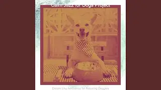 Trio Jazz Soundtrack for Calming Your Dog