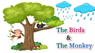 The birds and the Monkey /English story /English story book
