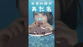 中学でのあだ名（2024年6月22日）