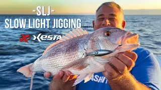 XESTA SLJ Slow Light Jigging - Vertical fishing technique for medium-shallow seabeds