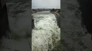 LMD | Lower Manair Dam cannol flow | Karimnagar | Gates Open | Dangerous Out Flow | 12/09/2025