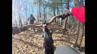 사릉 정현이