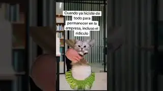 #humor #memes #trabajo