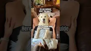 A Simple Guide To Remember Dog Years #shorts