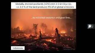 Hans Joosten on Paludiculture: the inevitable solution