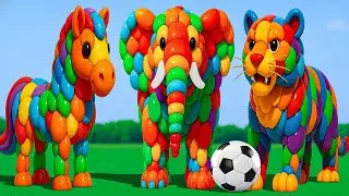 The mascot vibrato assistant cat placed on the football field is popular, co-produced and creative