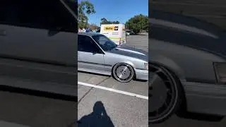 Insane HDT brocky #shorts #cars #carlover #holden #hdt #hsv #commodore #carmeet #peterbrock