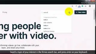 How to download Vimeo video :Tutorial