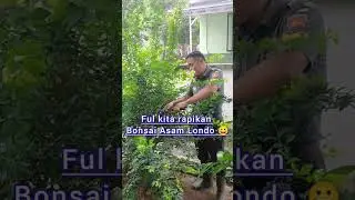 Prajurit juga hobby Bonsai Bolo😀💪 #bonsai #motivation 