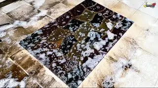 Professional Deep Carpet Cleaning | Extreme Dirt Removal ,