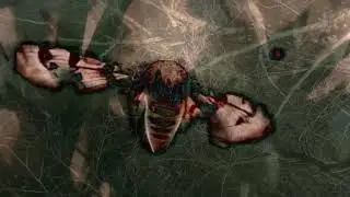 MOTH DUST: the movie