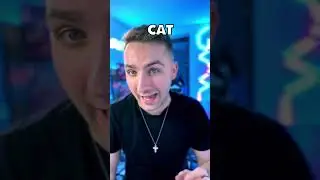 СКРЫТОЕ пасхальное яйцо Android 11