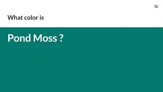 Pond Moss color #01796f hex color - Green color - Warm color 01796f