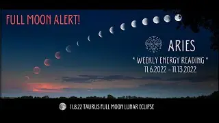 ♈️ ARIES 🌟 Weekly Energy Update 11.6.2022 🌟 YOU LET YOUR TRUE HEART CREATE A BEAUTIFUL UNIQUE WEB!