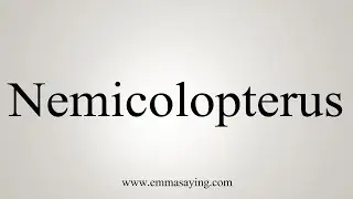 How To Say Nemicolopterus