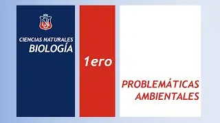 Problemáticas Ambientales