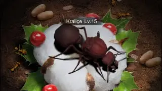 The Ants Level 15 Queen addictive game