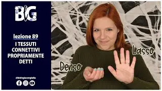 I TESSUTI CONNETTIVI PROPRIAMENTE DETTI