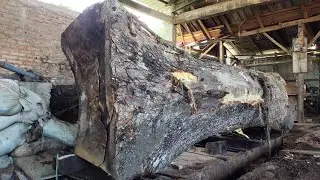 Large Wood Found in the Forest and Brought to the Sawmill to be Made into Wood Slabs