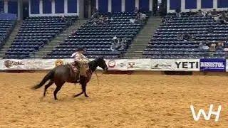 Wilder, the six-year-old Super Puncher