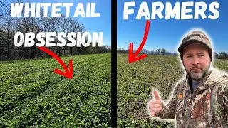 The Importance Of Using Cover Crops To Improve soil Health!