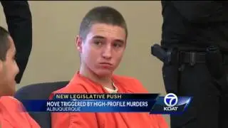 Legislative push triggered by high-profile murders
