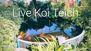 Leben in Thailand, Land, Leute,  Kultur Live am Freitag