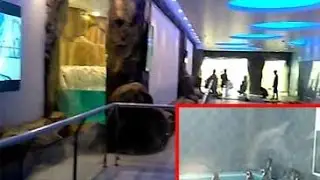 Watch: Mumbai's Byculla Zoo gets a world class enclosure for Humboldt Penguins