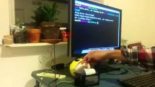 Взлом беспроводного термопринтера Adafruits