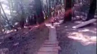 Tamarancho Flow Trail wood plank ride
