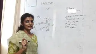 Smooth muscle physiology Dr Pranathi