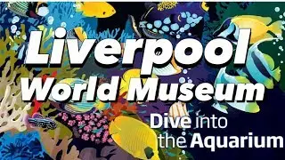Liverpool World Museum - Aquarium Section Walkthrough
