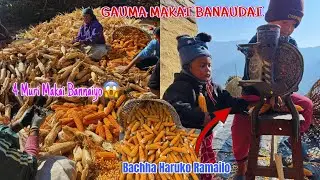 ४ मुरी मकै एकैदिन! 😱 गाउँको मेहनती जीवन | Village Lifestyle Vlog || Village lifestyle || Daily vlog 