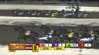 Meadowlands February 7, 2015 - Race 8 - Salevster Stallion