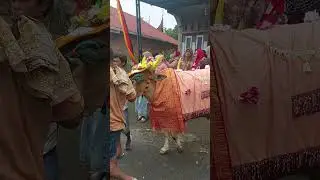 pacu jawi #pacujawi #pacuansapi #pesonasumaterabarat # #cctv #news #beritaterkini #tanahdatartv