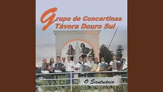 O Bêbado e o Vinho