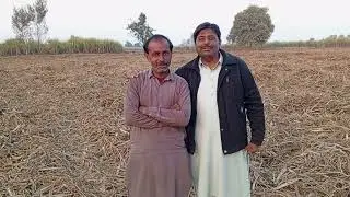 Sugarcane Loading Documentary (English)