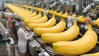 Automatic Banana Bread Factory Line: From Bananas to Delicious Bread (Full Process)