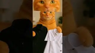 Oyen style