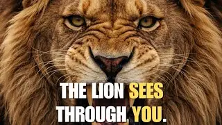 Human Psychology Explained from a Lion&rsquo;s Perspective | Power, Fear & Control