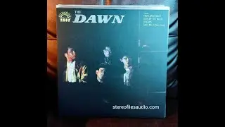 ENVELOPED IDEAS BY THE DAWN // ON VINYL// REISSUE BY POLYEAST RECORDS