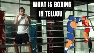 What is Boxing? in Telugu #boxing #telugu
