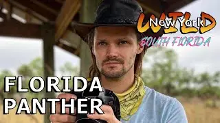 The Florida Panther - Wild New York's Hunt for the Big 3