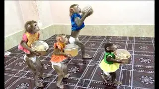4 Siblings Very WELL-TRAINED Walk To Take Box Of Dinner Each To Eat Together With Mom Very Delicious