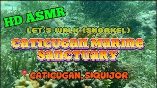 HD ASMR Let's Snorkel CATICUGAN MARINE SANCTUARY, the BIGGEST of its kind in SIQUIJOR!