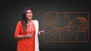 Expression of Breastmilk 