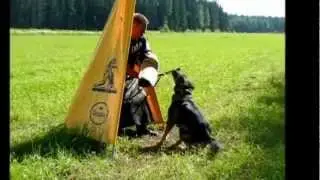Hunter vom Andi Schutzdiensttraining.wmv