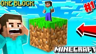 MINECRAFT ONE BLOCK WORLD HOUSE CREATE ING LIVE STREAMING